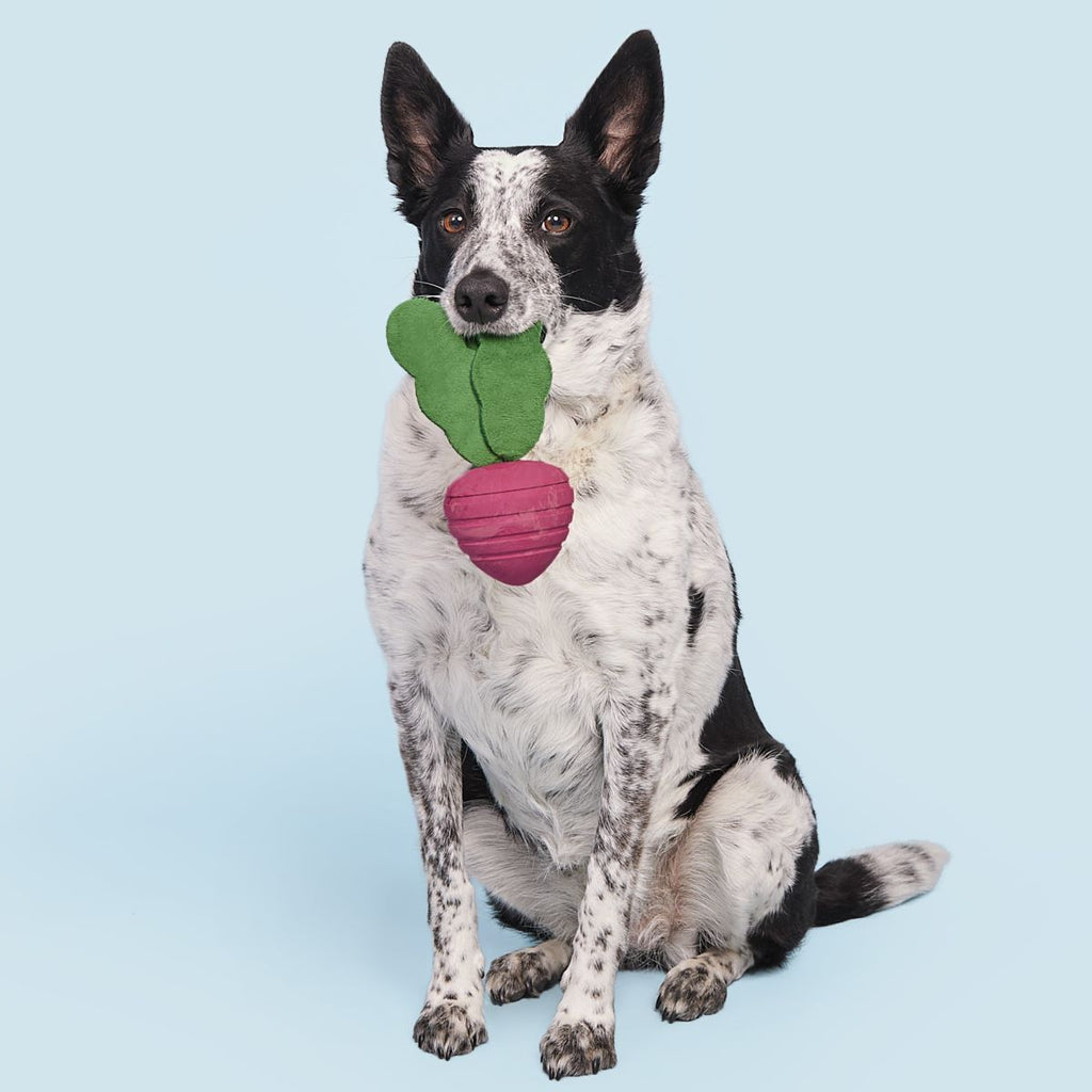 Rubber Tug Dog Toy product image 3