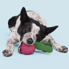 Rubber Tug Dog Toy product image 4