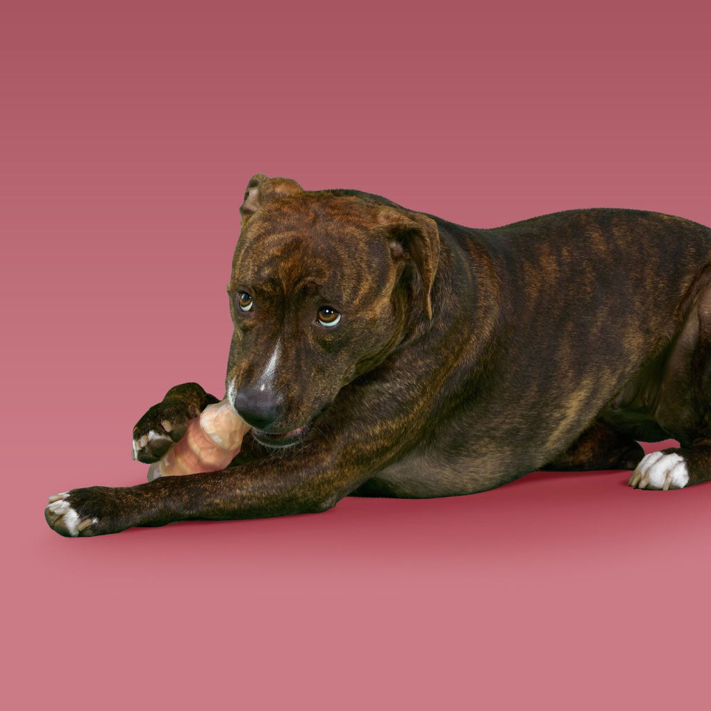 Dog Chew Toy product image 2