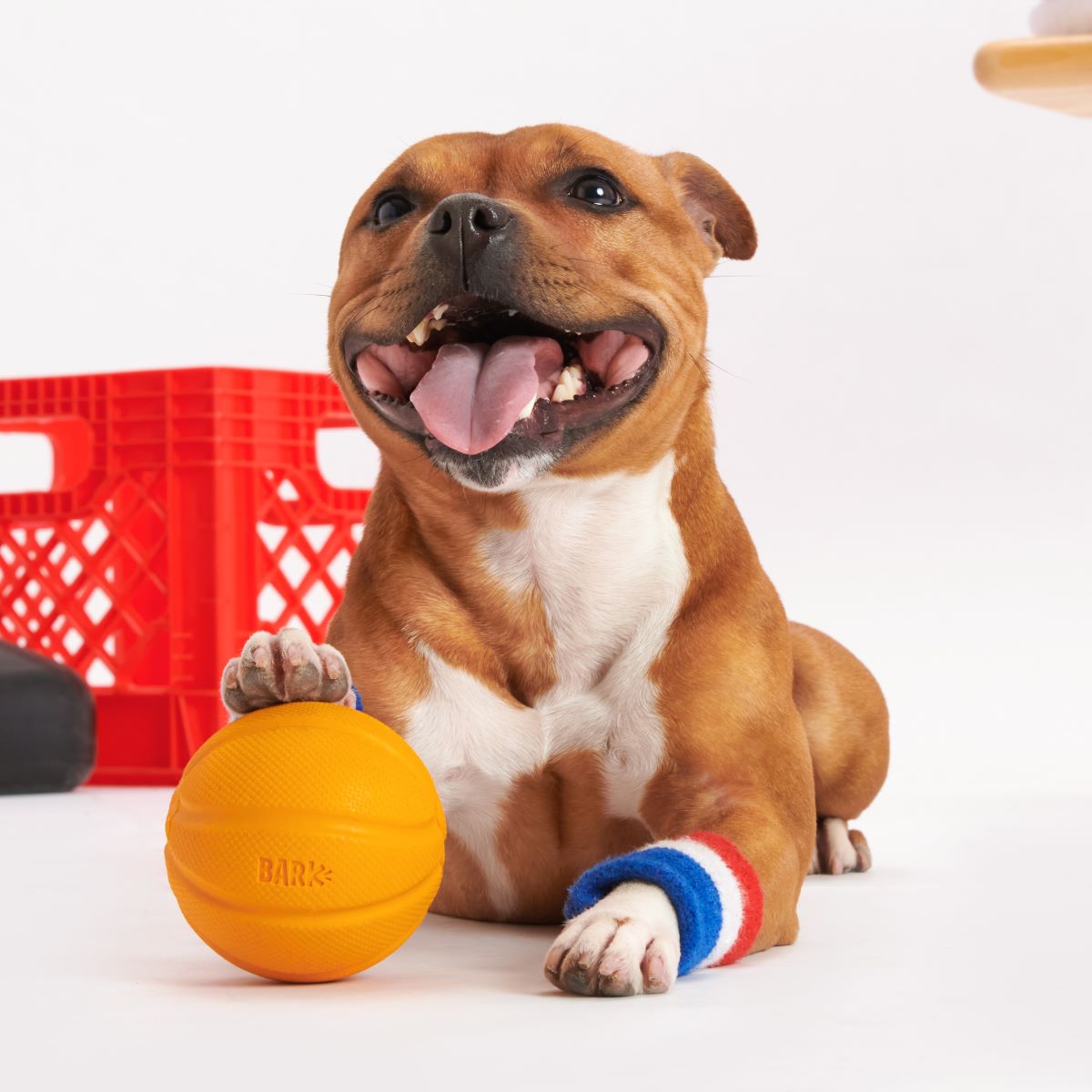 Vanilla-Scented Rubber Basketball Fetch Dog Toy product image 2