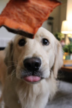 Sweet Potato Dog Chews product image 5