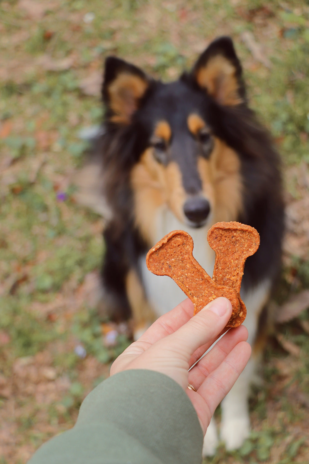 Dog Treats product image 4