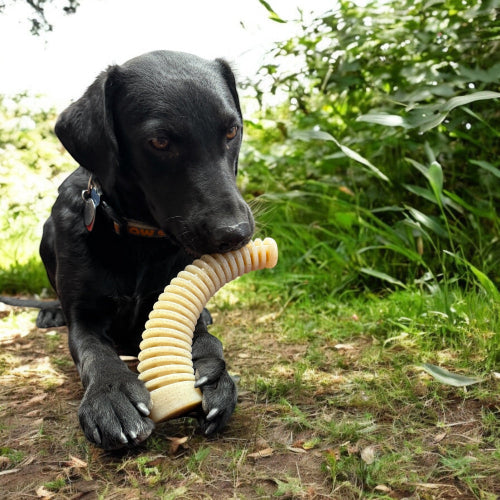 Nylon Dog Chew Toy product image 5