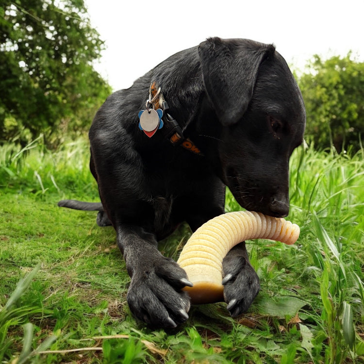 Nylon Dog Chew Toy product image 6