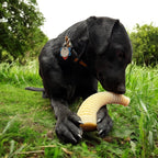 Nylon Dog Chew Toy product image 6