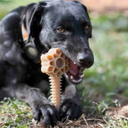 Dog Enrichment Toy product image 2