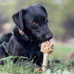 Dog Enrichment Toy product image 7
