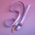 Dog Leash product image 1