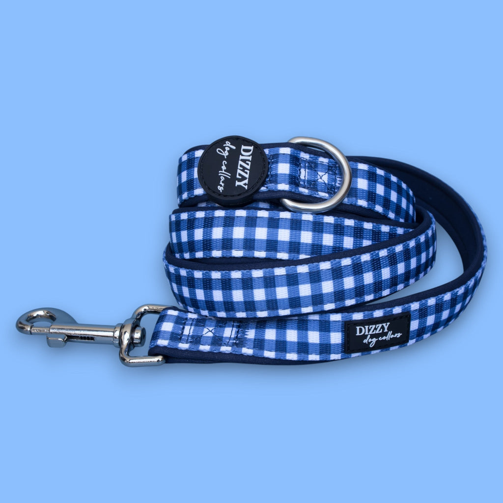 Dog Leash product image 1