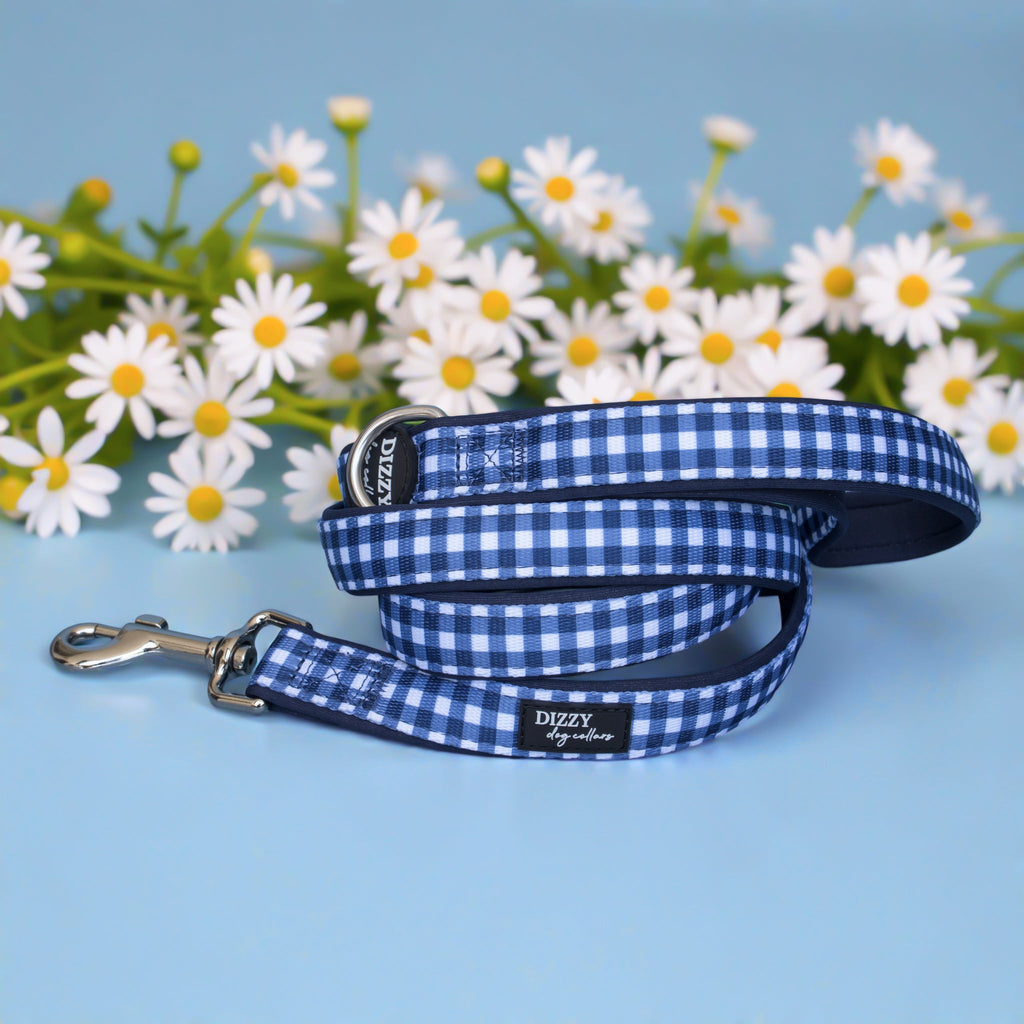 Dog Leash product image 2