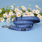 Dog Leash product image 2