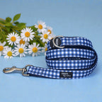 Dog Leash product image 3