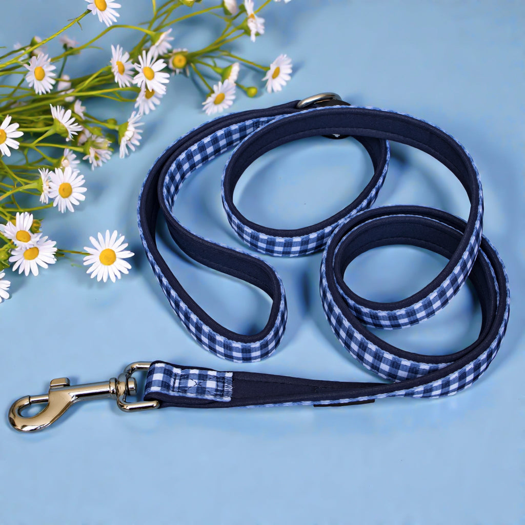 Dog Leash product image 4