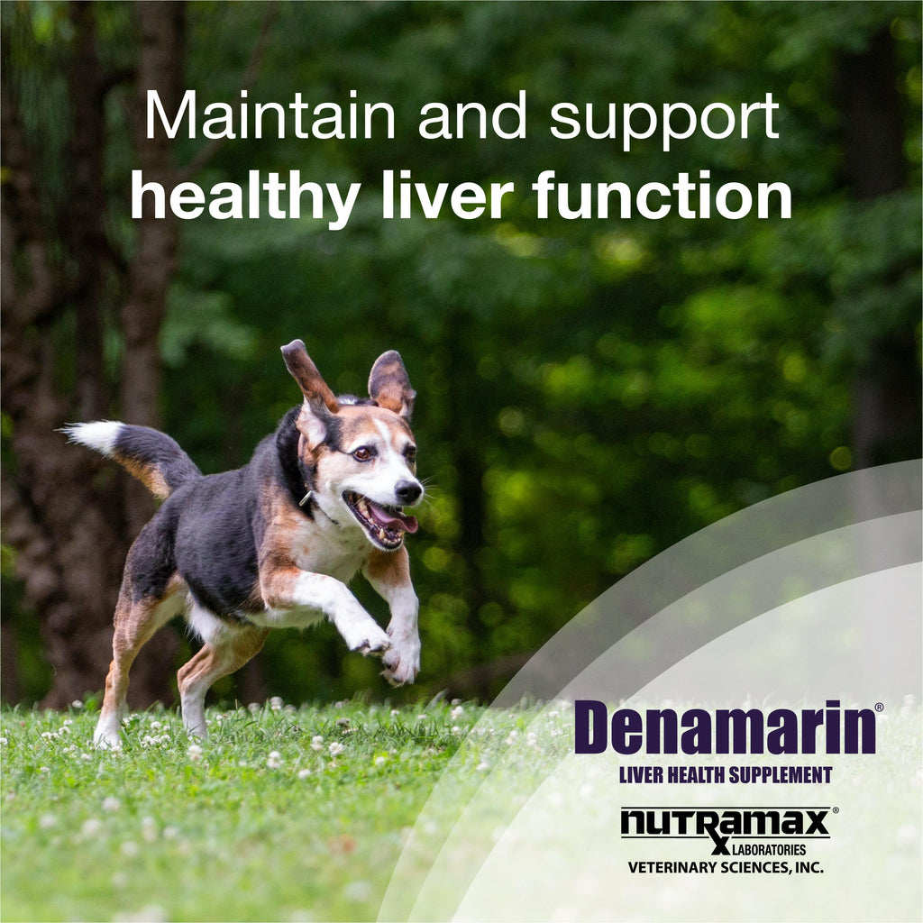 Dog Liver Supplement product image 5