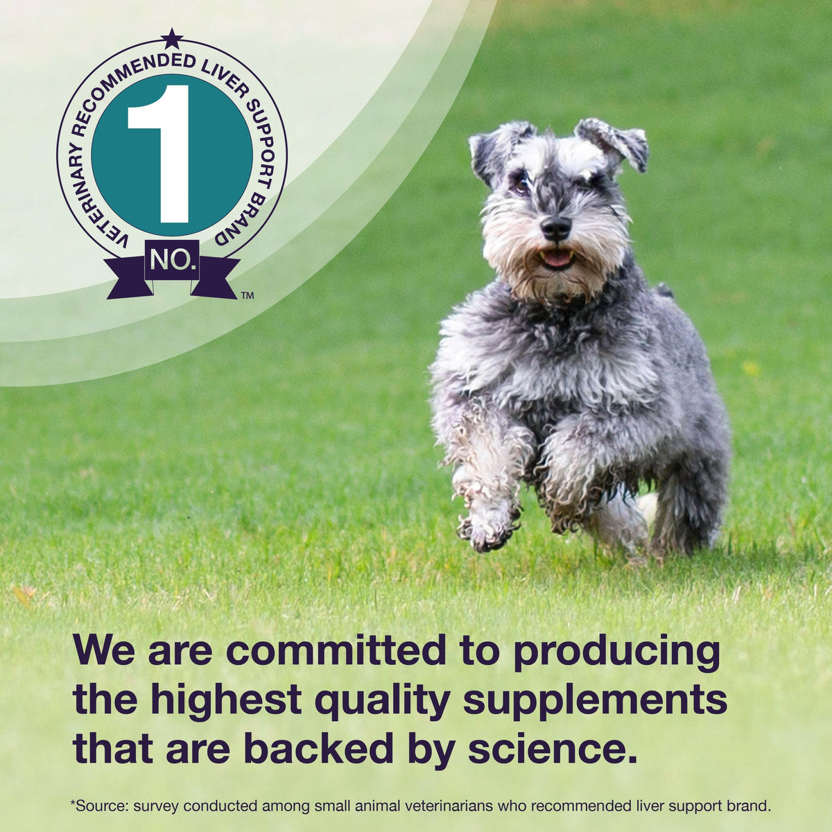 Dog Liver Supplement product image 7