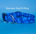 Neoprene Dog Collar product image 1