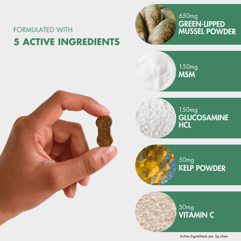 Dog Joint Supplement product image 2