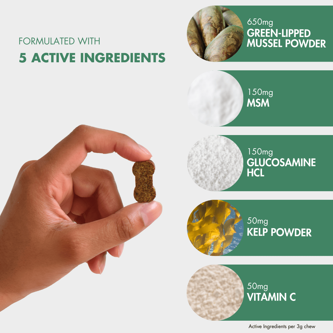 Dog Joint Supplement product image 2