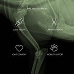 Dog Joint Supplement product image 3