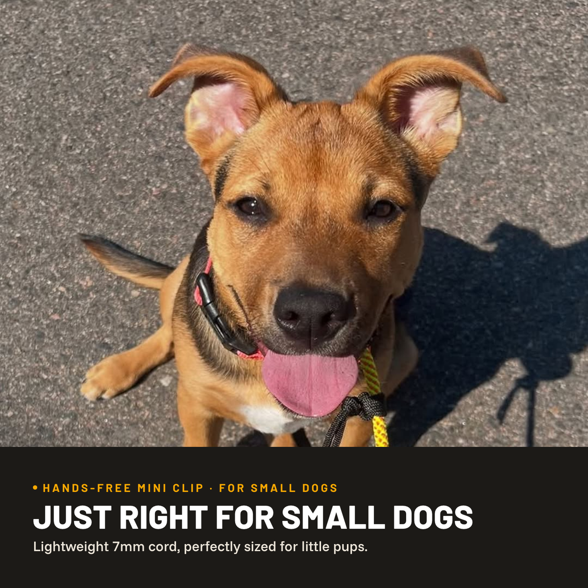 Hands-Free Leash product image 2