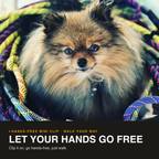 Hands-Free Leash product image 3
