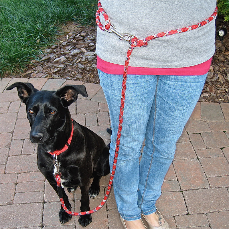 Hands-Free Leash product image 5