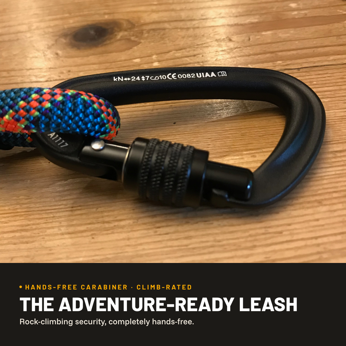 Dog Leashes product image 3