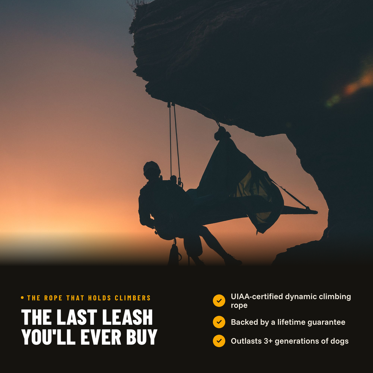 Dog Leashes product image 4