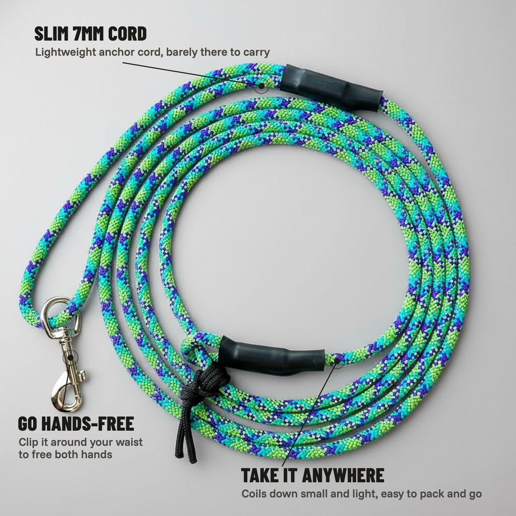 Hands-Free Dog Leash product image 1