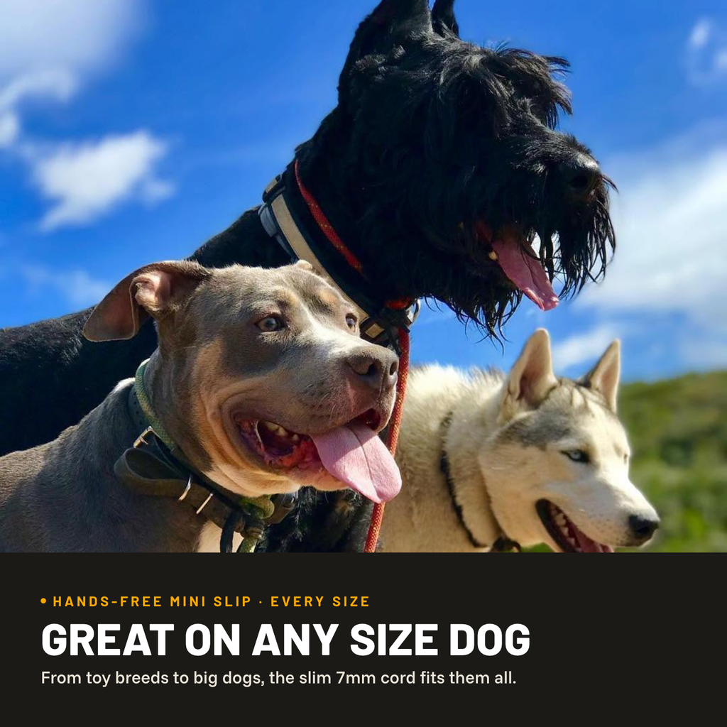 Hands-Free Dog Leash product image 2