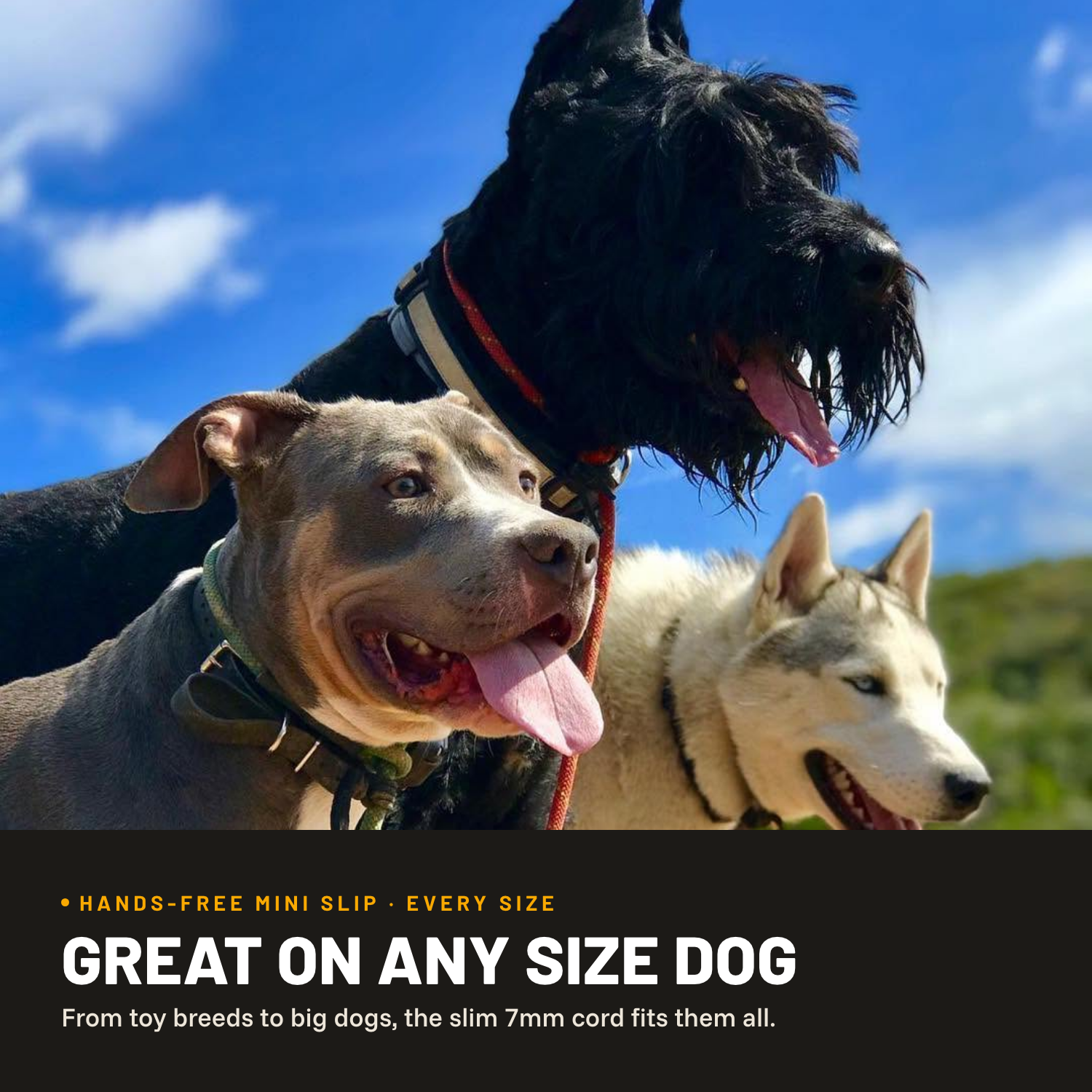 Hands-Free Dog Leash product image 2