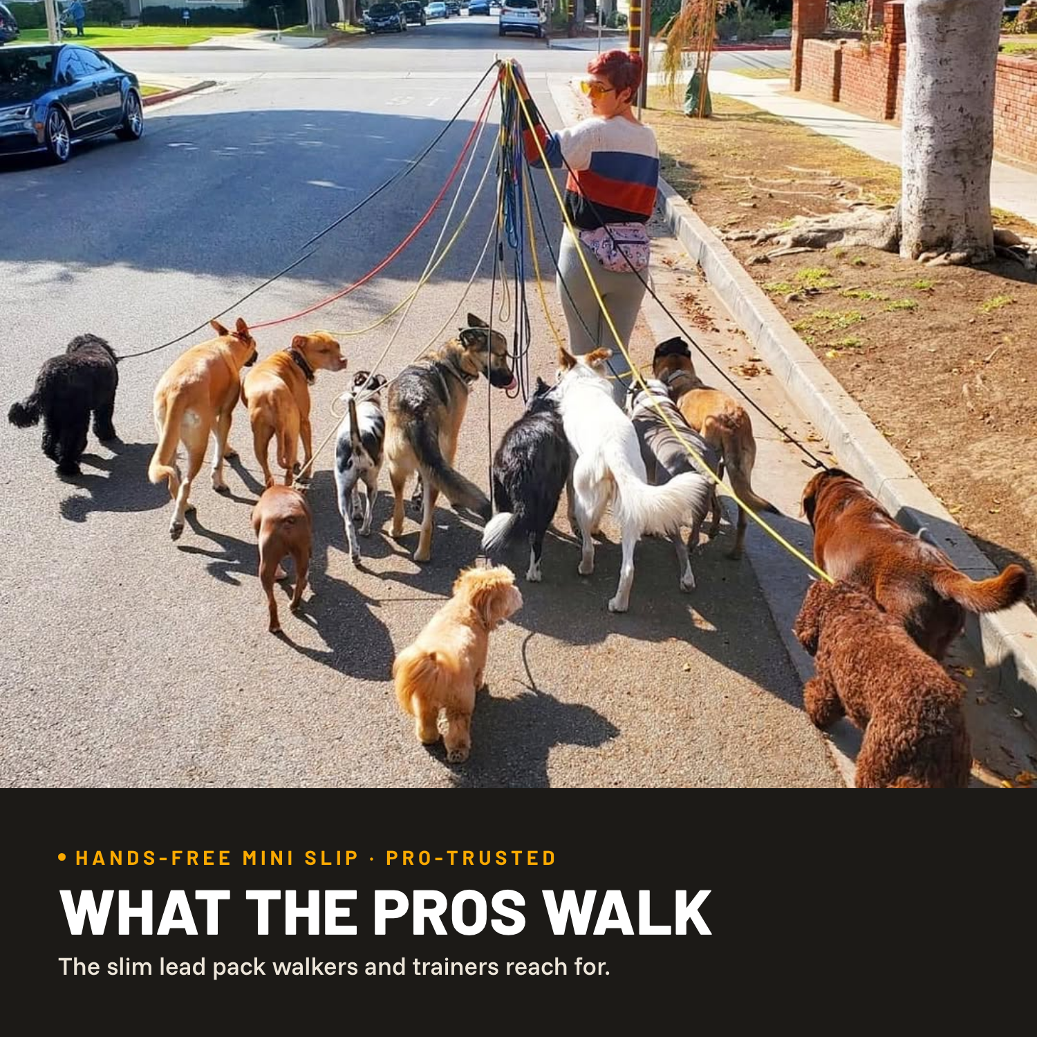 Hands-Free Dog Leash product image 3