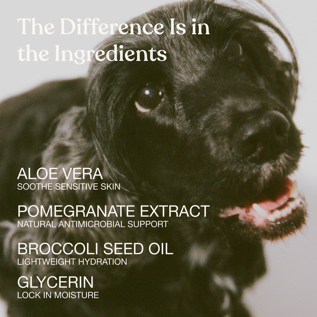 No-Rinse Dog Paw Cleanser product image 4