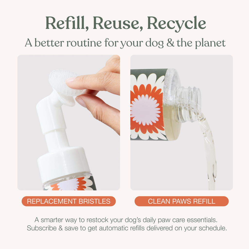 No-Rinse Dog Paw Cleanser product image 11