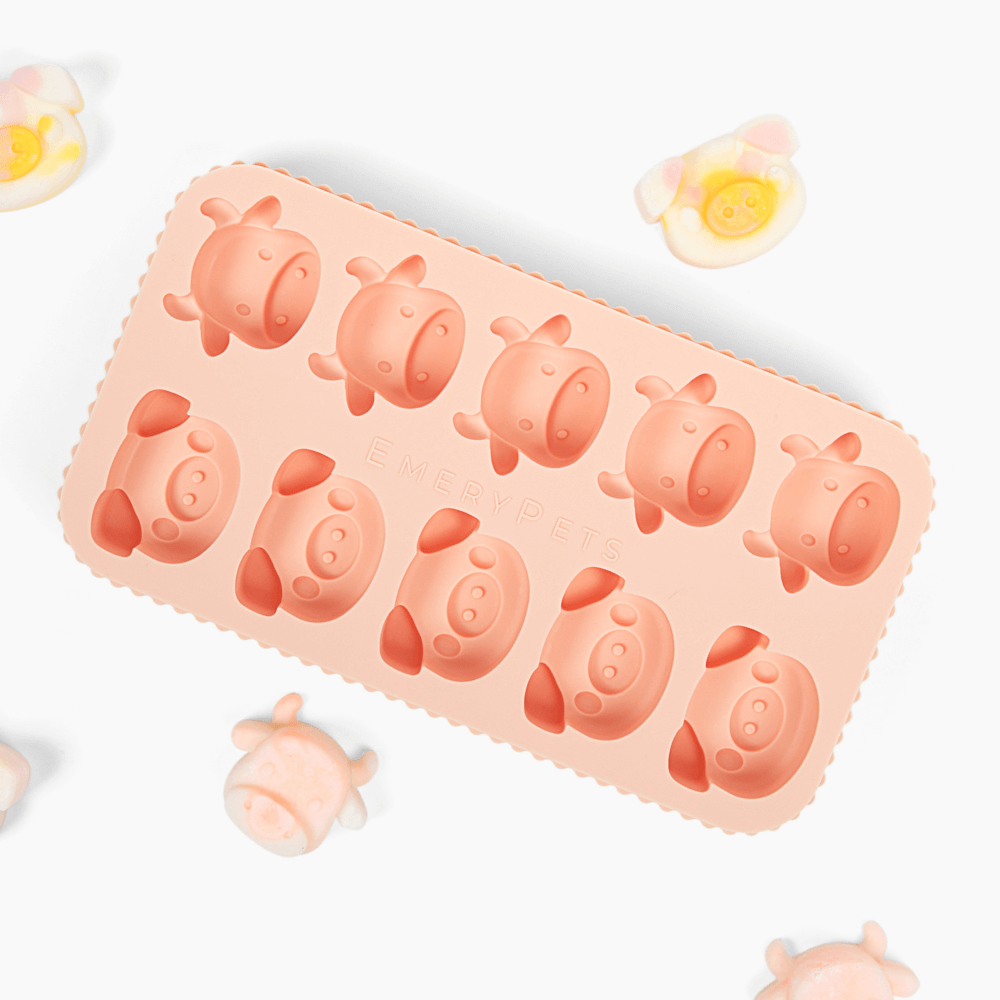 Dog Treat Mold product image 1