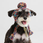 Dog Beanie Hat product image 1