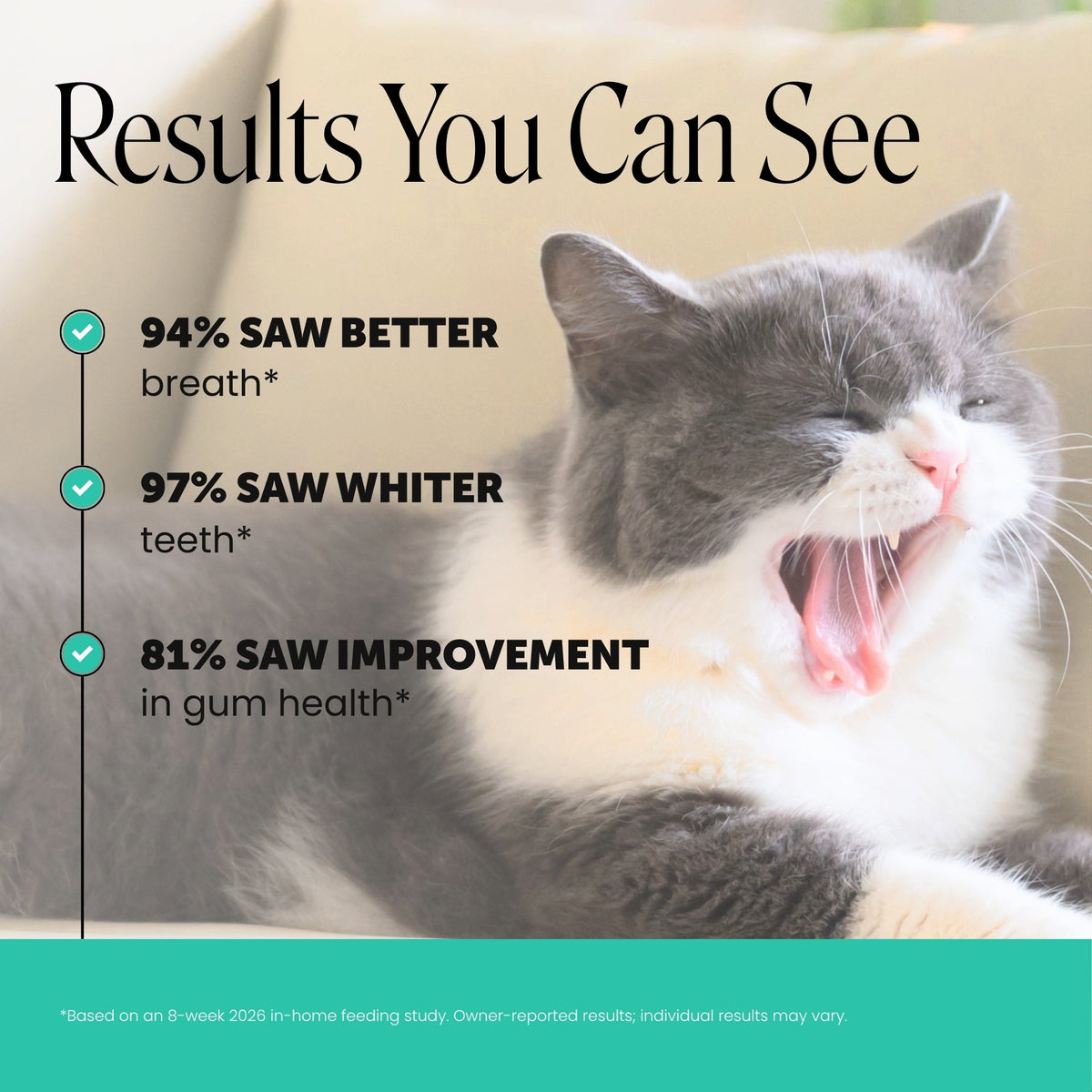 Cat Dental Bites product image 2
