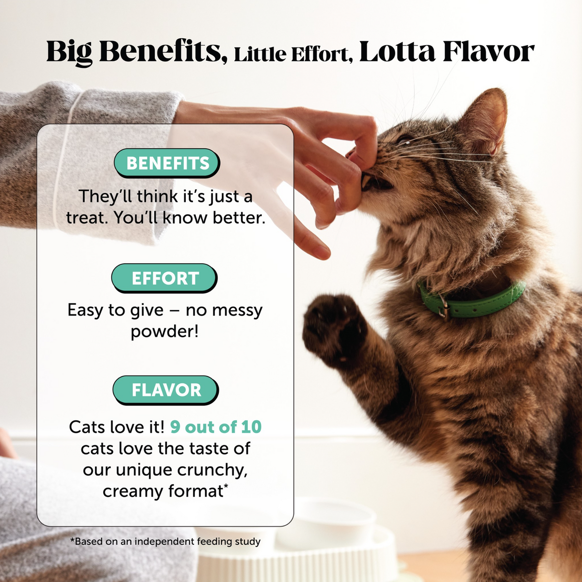 Cat Dental Bites product image 8