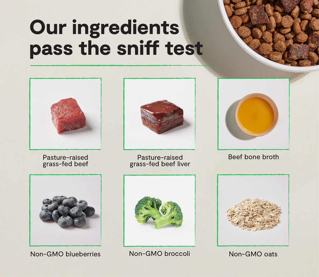 Dry Dog Food product image 3