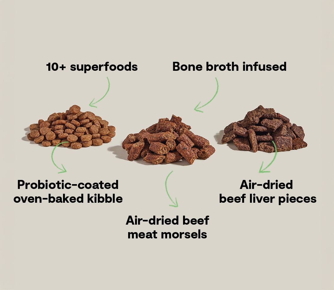 Dry Dog Food product image 5