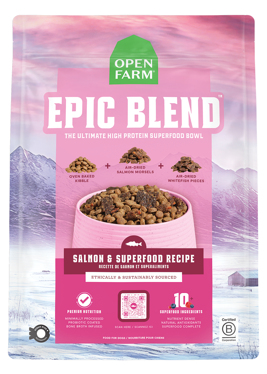 Dry Dog Food product image 1