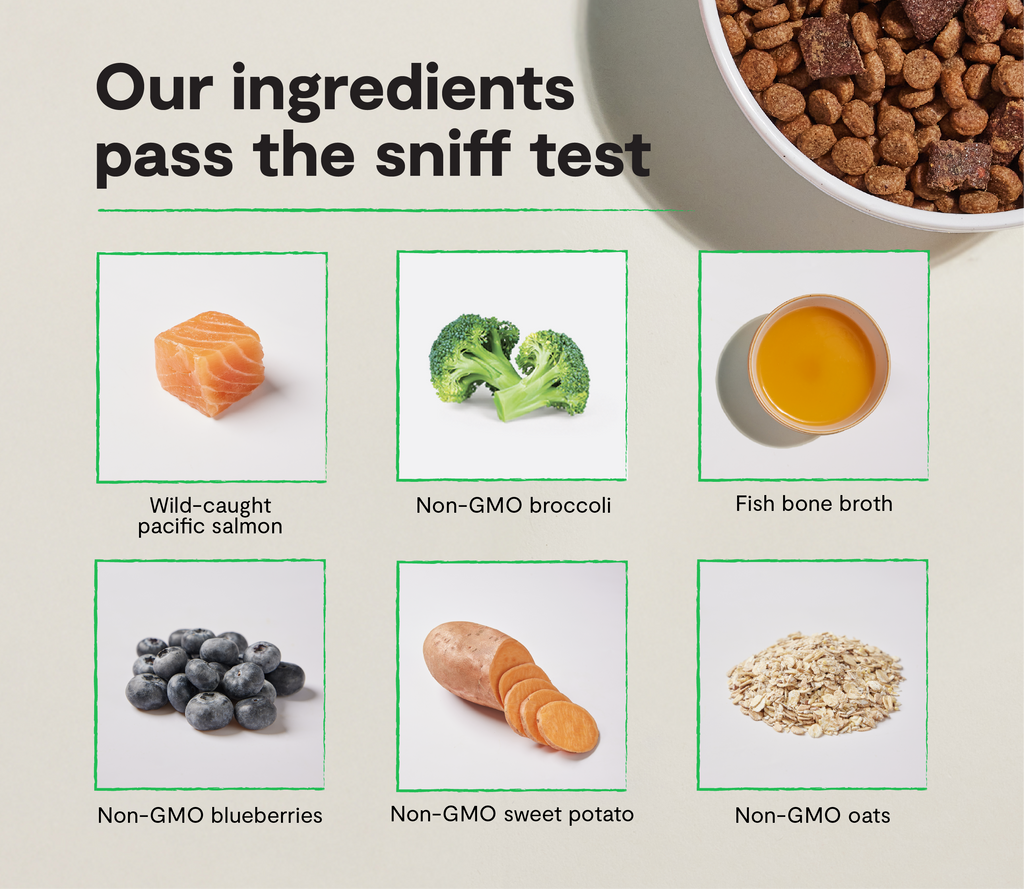 Dry Dog Food product image 3