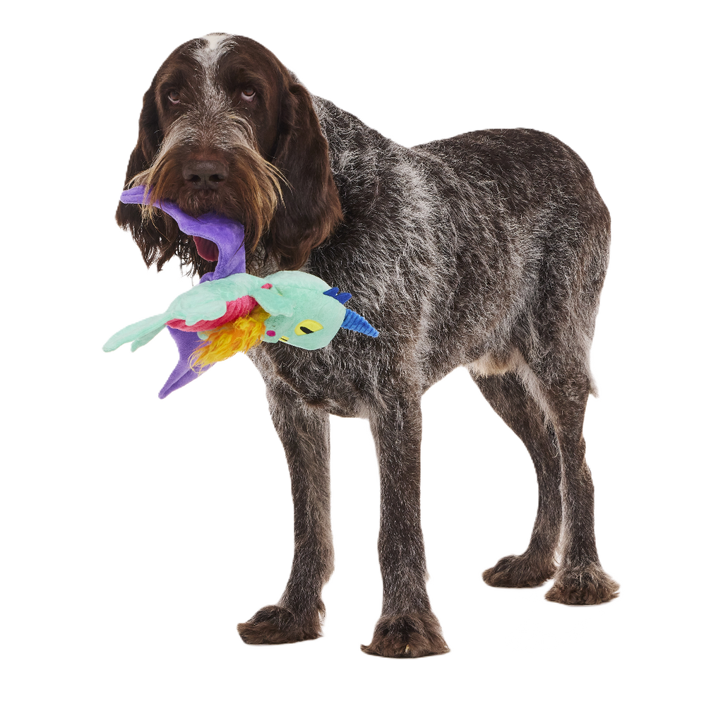 Plush Tug Dog Toy product image 1