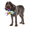 Plush Tug Dog Toy product image 1