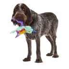 Plush Tug Dog Toy product image 1