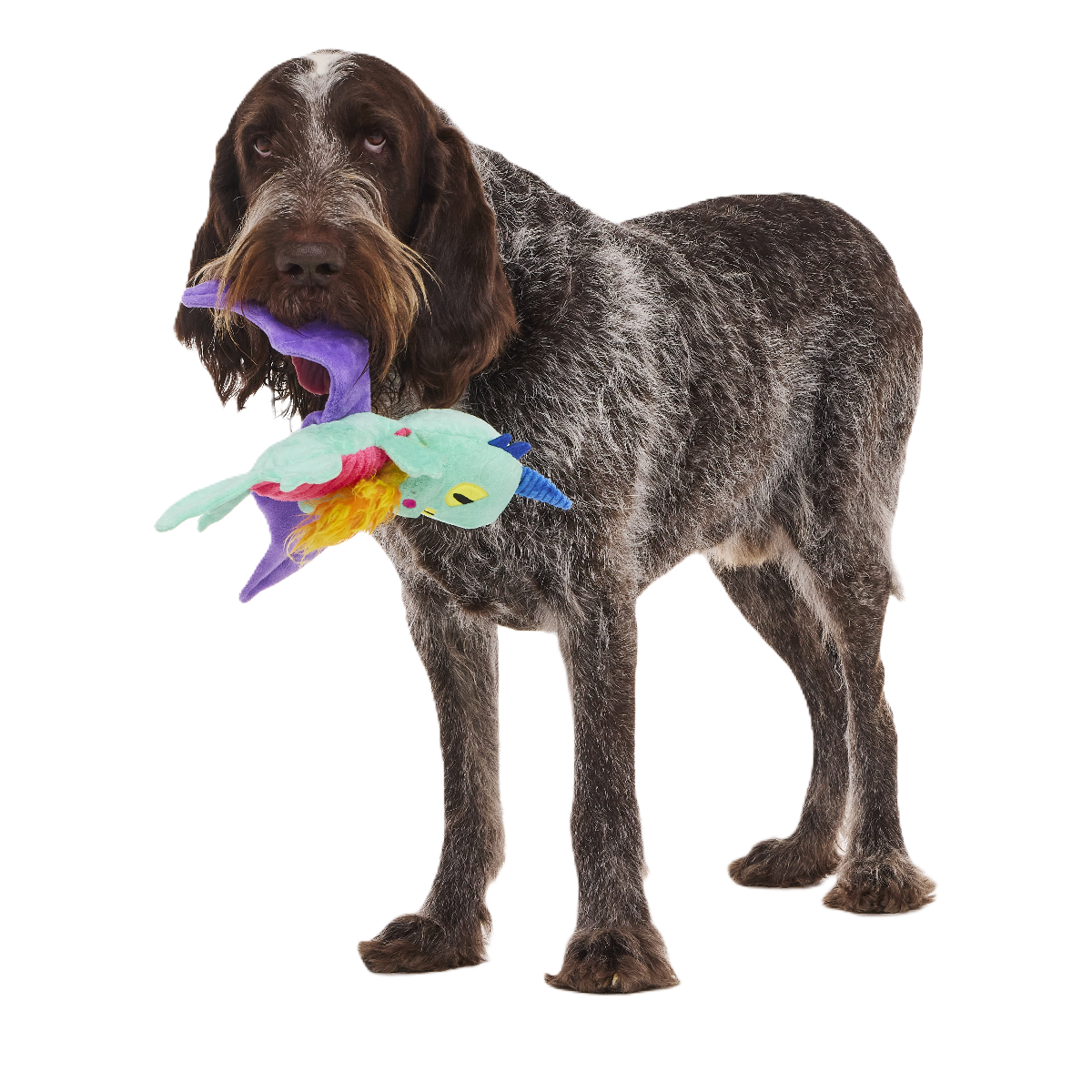 Plush Tug Dog Toy product image 1