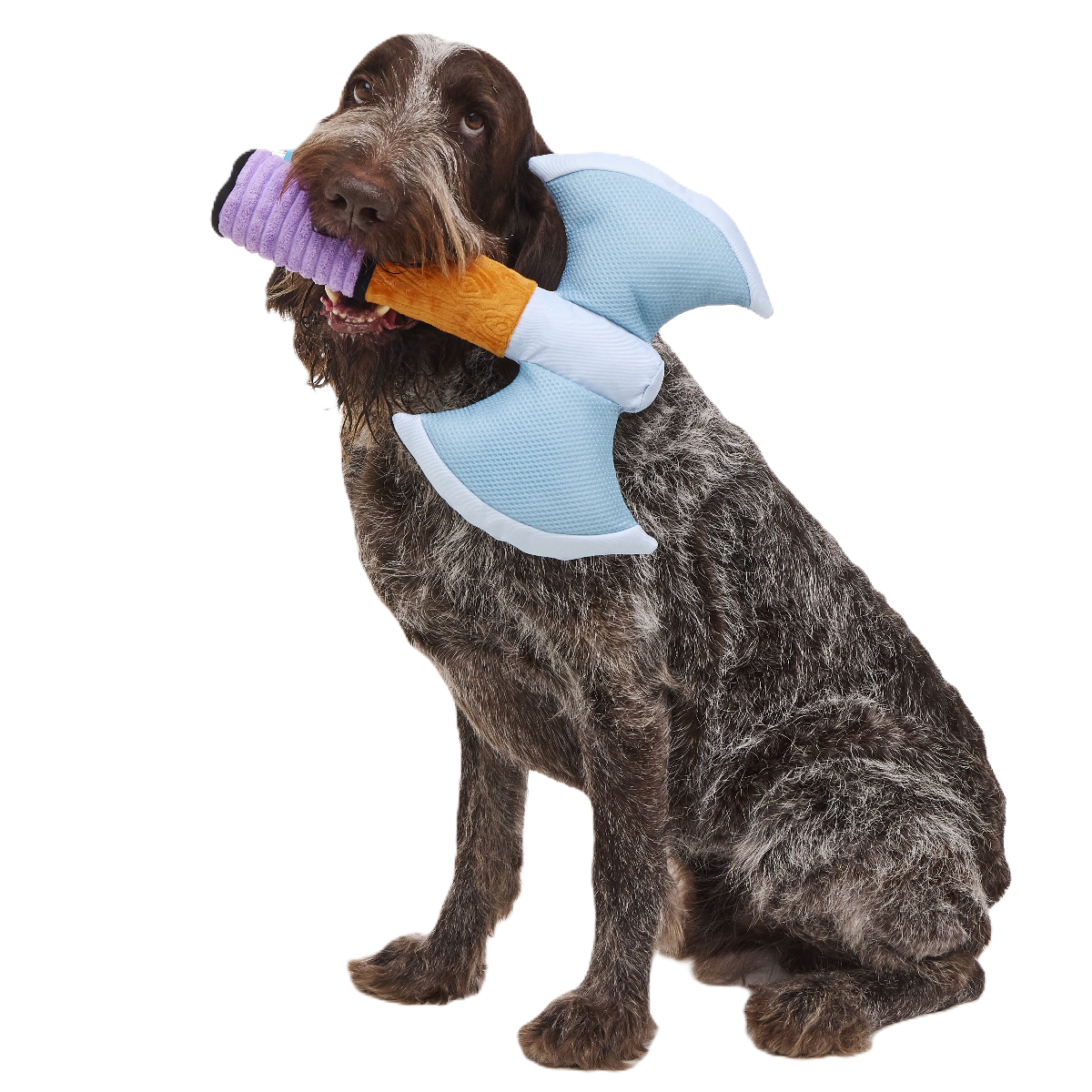 Plush Tug Dog Toy product image 1