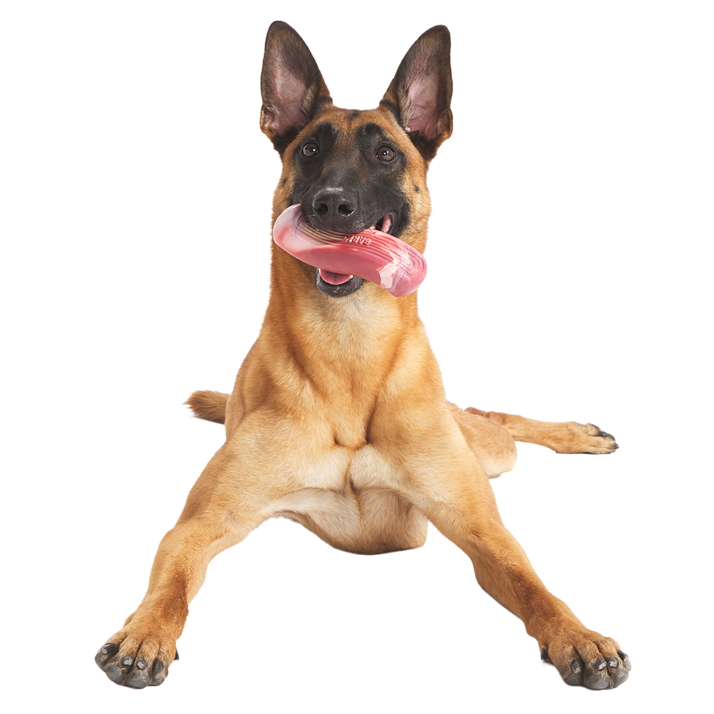 Dog Chew Toy product image 2