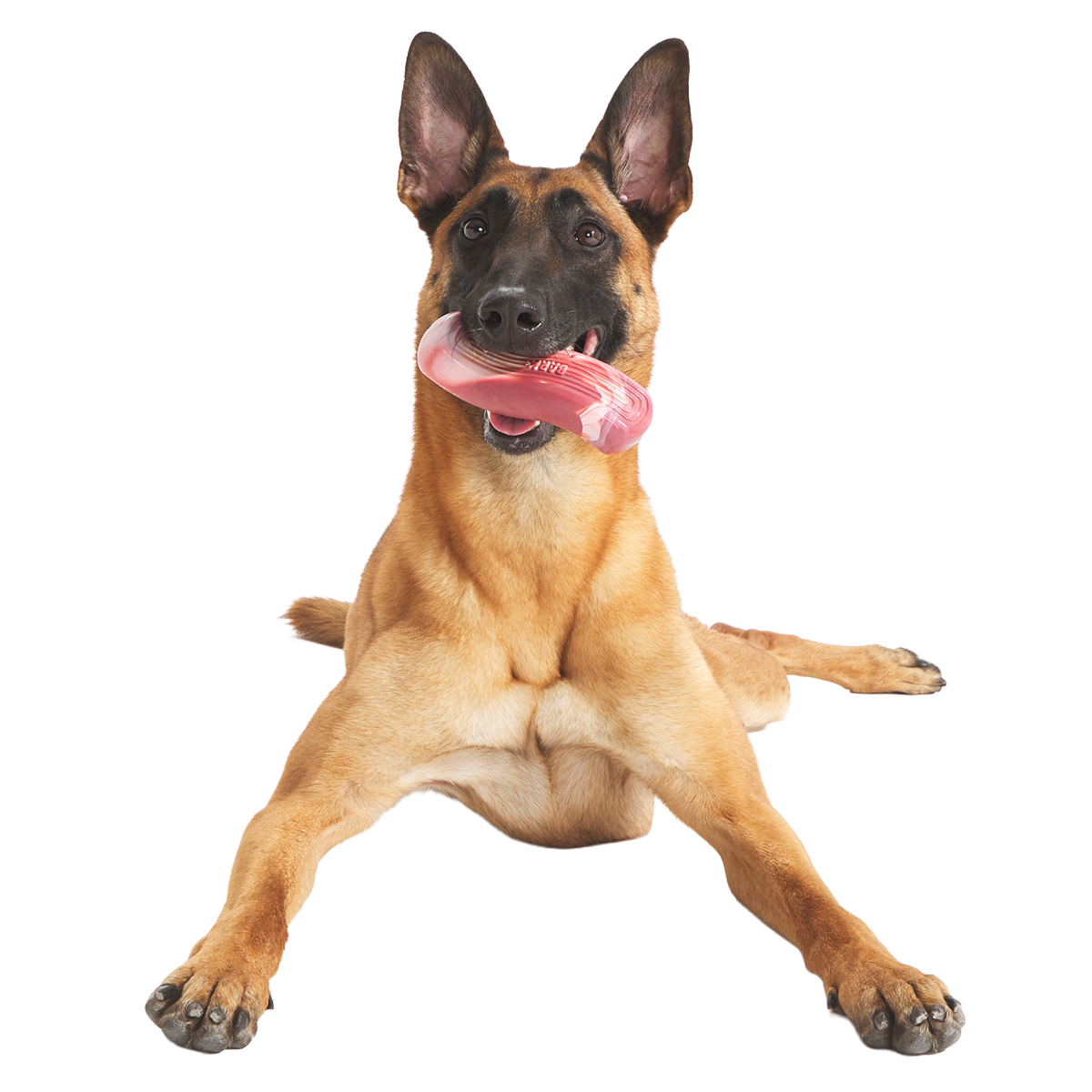Dog Chew Toy product image 2