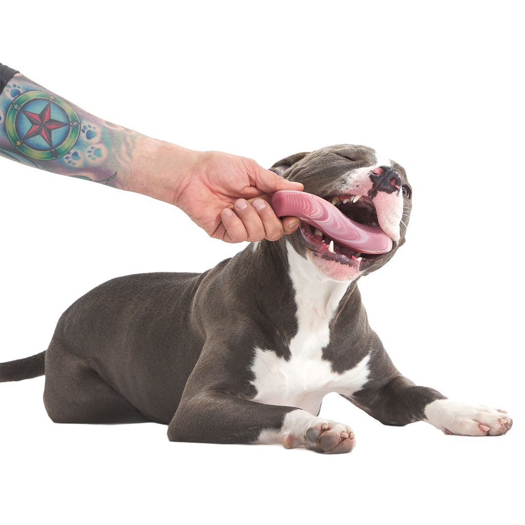 Dog Chew Toy product image 3